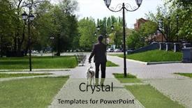  Presentation with blood - Cool new theme with blood donar - dog playing with master backdrop and a seafoam green colored foreground