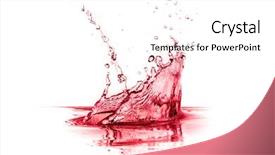  Presentation with splash - PPT theme featuring stray thin calico cat background and a light gray colored foreground