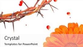  Presentation with crown thorns - Cool new presentation theme with blood drops and red flower backdrop and a white colored foreground
