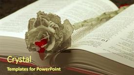  Presentation with old bible - Colorful PPT layouts enhanced with blood flower - bleeding old white rose backdrop and a tawny brown colored foreground