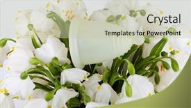  Presentation with eco friendly - PPT layouts consisting of blood flower - silicone menstrual cup is eco-friendly background and a soft green colored foreground