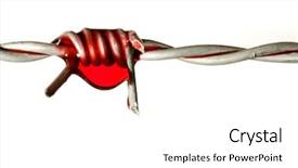  Presentation with civil rights - Amazing theme having blood on barbed wire symbol backdrop and a white colored foreground