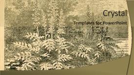  Presentation with old - Beautiful presentation design featuring blooming-acanthus-old-illustration backdrop and a yellow colored foreground