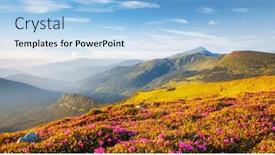  Presentation with inspiring - Slide set consisting of blooming-alpine-meadows-with-magical background and a light blue colored foreground