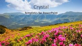  Presentation with ukraine - PPT theme featuring blooming-alpine-meadows-with-pink background and a light blue colored foreground