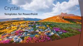  Presentation with pink beauty - Theme featuring blooming-alpine-meadows-with-pink background and a light blue colored foreground
