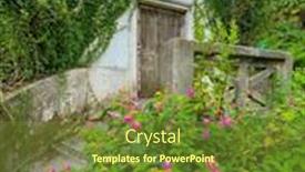  Presentation with green house - Slide deck with blooming-bush-and-green-vines background and a  colored foreground