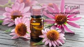  Presentation with echinacea - PPT layouts having blooming-coneflower-heads-and-bottle background and a coral colored foreground