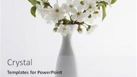  Presentation with minimalist - Slide deck enhanced with blooming-flower-branch-in-vase background and a white colored foreground