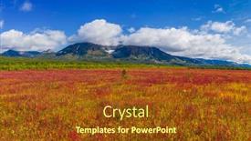  Presentation with herb - Audience pleasing theme consisting of blooming-flowers-ivan-tea backdrop and a tawny brown colored foreground