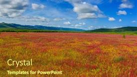  Presentation with herb - Audience pleasing slide set consisting of blooming-flowers-ivan-tea backdrop and a tawny brown colored foreground