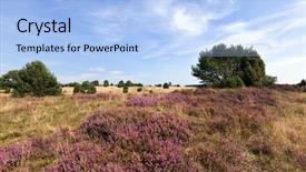  Presentation with lower extremity cast - Audience pleasing PPT theme consisting of blooming heath landscape at lower backdrop and a light blue colored foreground