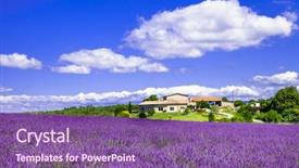  Presentation with lavander - Presentation having blooming lavander fields in provence background and a  colored foreground