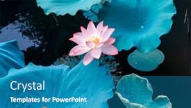  Presentation with lotus flower - Slide deck enhanced with blooming lotus or waterlilly flower in the pond background and a teal colored foreground