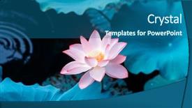  Presentation with blooming lotus flower of pink - Beautiful slide deck featuring blooming lotus or waterlilly flower backdrop and a ocean colored foreground