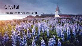  Presentation with nature village - Amazing slide set having blooming lupine flowers near vikurkirkja backdrop and a teal colored foreground