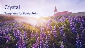  Presentation with nature village - Presentation design having blooming lupine flowers near vikurkirkja background and a sky blue colored foreground