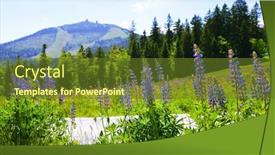  Presentation with national - Slides featuring blooming-lupine-flowers-with-mount background and a tawny brown colored foreground