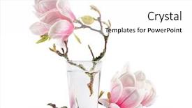  Presentation with magnolia - Cool new slide deck with blooming magnolia backdrop and a white colored foreground