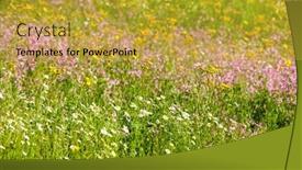  Presentation with meadow - Colorful slide set enhanced with blooming-meadow-with-orchidsnear-village backdrop and a gold colored foreground