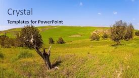  Presentation with green hills - Presentation theme enhanced with blooming-negev-desert-green-fresh background and a light blue colored foreground