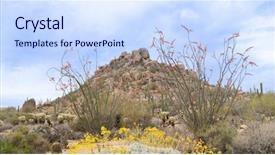  Presentation with arizona desert - Slides having blooming ocotillo located near scottsdale background and a sky blue colored foreground