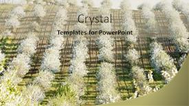  Presentation with orchard - 