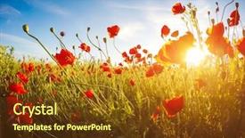  Presentation with sky sun - Slide set with blooming red poppies on field background and a tawny brown colored foreground