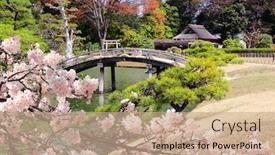  Presentation with japan sakura - Theme consisting of blooming-sakura-decorative-bridge background and a coral colored foreground