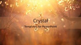  Presentation with blurred flowers - Cool new presentation theme with blooming tree and sun flare backdrop and a coral colored foreground