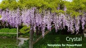  Presentation with ponds - PPT theme enhanced with blooming-wisteria-and-picturesque-ponds background and a tawny brown colored foreground