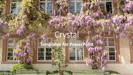 Presentation with cooperative culture building - Slide deck featuring blooming-wisteria-on-the-walls background and a violet colored foreground