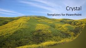  Presentation with wild flower - PPT theme consisting of blooms - super bloom california wild flower background and a light blue colored foreground