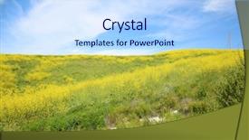  Presentation with rain fall - Audience pleasing presentation theme consisting of blooms - super bloom southern california wild backdrop and a sky blue colored foreground