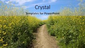  Presentation with rain fall - Cool new presentation with blooms - super bloom southern california wild backdrop and a light blue colored foreground