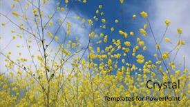  Presentation with rain fall - Presentation theme enhanced with blooms - super bloom southern california wild background and a yellow colored foreground