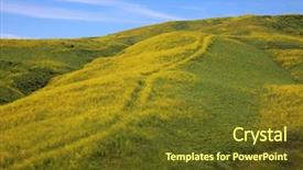  Presentation with rain fall - Slides consisting of blooms - super bloom southern california wild background and a tawny brown colored foreground