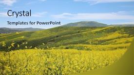  Presentation with rain fall - Beautiful presentation theme featuring blooms - super bloom southern california wild backdrop and a light blue colored foreground