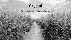  Presentation with rain fall - Slide set enhanced with blooms - super bloom southern california wild background and a light gray colored foreground