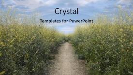  Presentation with rain fall - Presentation design featuring blooms - super bloom southern california wild background and a light blue colored foreground