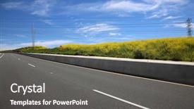  Presentation with rain fall - Amazing presentation having blooms - super bloom southern california wild backdrop and a dark gray colored foreground