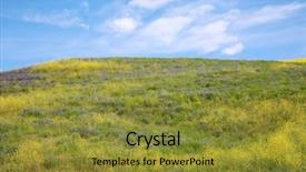  Presentation with rain fall - PPT theme with blooms - super bloom southern california wild background and a gold colored foreground