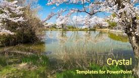  Presentation with japan cherry blossom - Slide deck with blossom scene around a fishing background and a tawny brown colored foreground