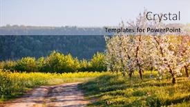  Presentation with agrarian - Presentation design enhanced with blossoming-apple-orchard-in-idyllic background and a light blue colored foreground
