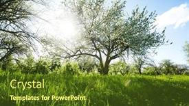  Presentation with agrarian - Slides enhanced with blossoming-apple-orchard-in-idyllic background and a tawny brown colored foreground