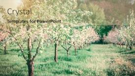  Presentation with glowing cross - Presentation theme consisting of blossoming apple orchard in spring picturesque and gorgeous scene ukraine europe beauty world cross processed retro and vintage style instagram toning effect glowing soft filter background and a soft green colored foreground