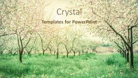  Presentation with glowing cross - PPT theme with blossoming apple orchard in spring picturesque and gorgeous scene ukraine europe beauty world cross processed retro and vintage style instagram toning effect glowing soft filter background and a soft green colored foreground