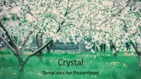  Presentation with glowing cross - Cool new slide deck with blossoming apple orchard in spring picturesque and gorgeous scene ukraine europe beauty world cross processed retro and vintage style instagram toning effect glowing soft filter backdrop and a ocean colored foreground
