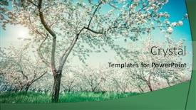  Presentation with glowing cross - Theme featuring blossoming apple orchard in spring picturesque and gorgeous scene ukraine europe beauty world cross processed retro and vintage style instagram toning effect glowing soft filter background and a mint green colored foreground