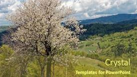  Presentation with cherry blossoms of tokyo - Presentation theme with blossoming-cherry-against-the-backdrop background and a tawny brown colored foreground